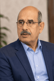 محمد مصطفى البرادعي