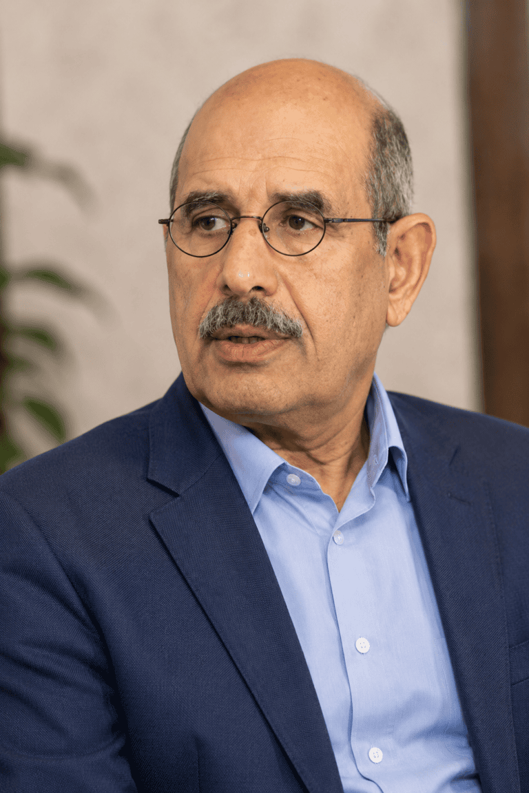 محمد مصطفى البرادعي